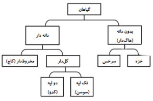 درس دوازدهم علوم چهارم ابتدایی | آموزش + پرسش (25 صفحه PDF)